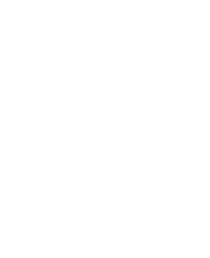 Secure Checkout Lock Icon